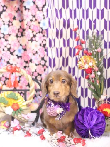 20250125モカくん